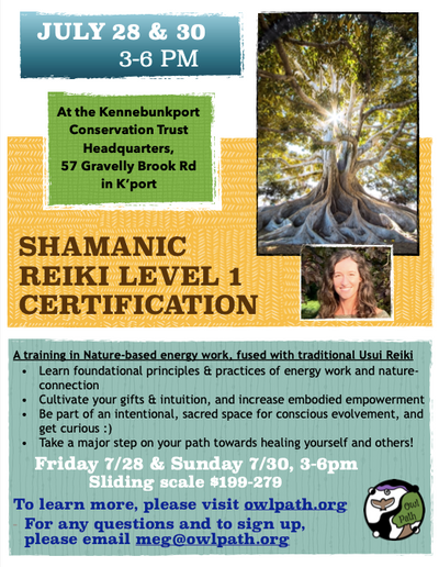 featured image thumbnail for post Shamanic Reiki Level 1