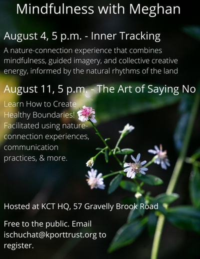 featured image thumbnail for post Nature-Connected Mindfulness -- Free events with KCT!